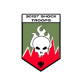301st Shock Troops Brigade.PNG